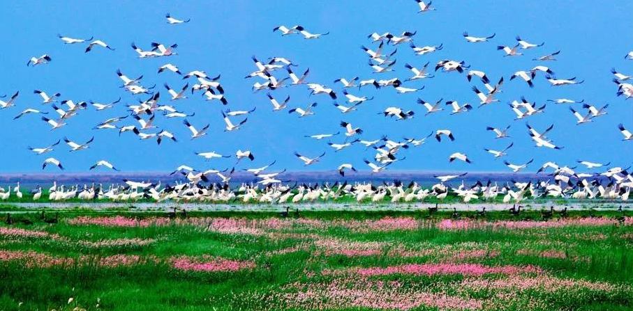 1575937765576661.png a03.png